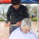 성재천 Daum카페