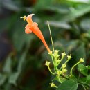 상동호수공원 이미지