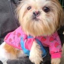 방범초소 옆 이미지