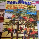 제주도 미술관 옆 동물농장, 거대 키즈카페와 예술작품들이 있는 곳