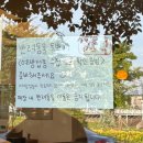 카페워크샵 | 포항 문덕 카페 추천 | 크로플 맛집 카페워크샵 내돈내산 후기