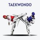 슈퍼스타 태권도 이미지