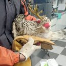 정읍농수산 - 13338 | 정읍농수산