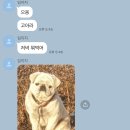 그래요