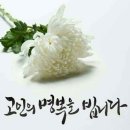 J HAIR - 고양시 덕양구 | J HAIR