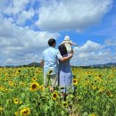 광양읍사무소 이미지