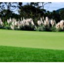 샤인빌파크CC(대중형 18홀) 이미지