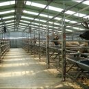 야생사슴농장 이미지