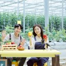 미소진산업 이미지