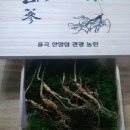 사과랑관광농원 이미지