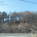 천주교청파동교회