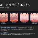 이브미 이미지