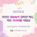 내돈내산 부쉐론 가드링 종로 예물 도헤주얼리 랩다이아 수령 후기 가격