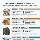 (주)우림자동차 이미지