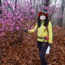 은지초등학교 이미지