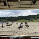 더마파크 공연장 | 제주에서 말 타는 공연? 더마파크 기마공연 생생 후기
