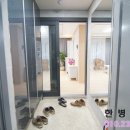 까사펠리스