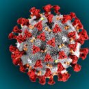 ﻿[NHK] ﻿신종 코로나 7명 사망 2775명 감염 확인 이미지