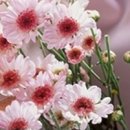기다리는 마음 이미지