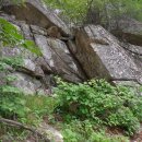 온누리문막약국 이미지