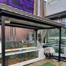 [영덕] 축산항,금광호수산 / 대게먹고 회도먹고❕❕일석이조❕❕또 오고싶은 맛집🫣