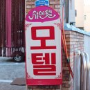 샤인텔 | 강릉모텔 샤인텔 예약 후기!