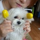 신발짱 이미지