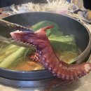 오이도칼국수 이미지