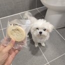 오포레