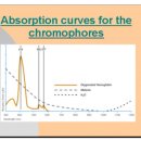 닥터심스의원 이미지