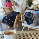 파도바 바다풍경 이미지