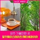 양주 덕정역 근처 가볼만한곳 카페 밀키웨이스테이션 / 메타세콰이아 길