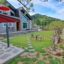 스테이고운 이미지