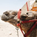 미로속으로 떠나는 역사 여행 이미지