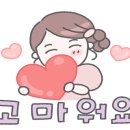 한강종합모터스 이미지