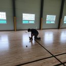 한국도로공사 남원지사 | [4년 전 오늘] {코리아샌딩} 한국도로공사 남원지사 체육관 배드민턴라인 후기 !