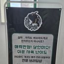 광주 광산구 &#39;어게인게코&#39; 방문후기 🦎 게코 용품 쇼핑했어요