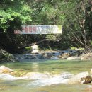 솔밭펜션캠핑장 이미지