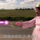 쿠키&케익