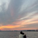 우리지뜨 이미지