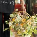 능곡동꽃집 모두가사랑할작은숲 가격 위치 영업시간