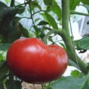 심곡정미소 이미지