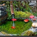 약수암샘터 이미지