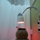 솔찬한의원 이미지