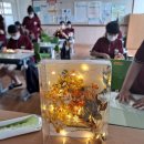 삼천포제일중학교 이미지