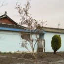자룡