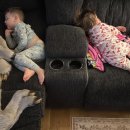 송아지집 이미지