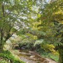 초가정담 이미지