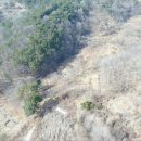 영덕야성초등학교 매정분교장 이미지