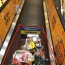 BABO글램핑 이미지